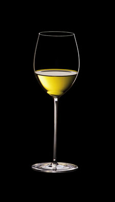 Sauvignon blanc glass